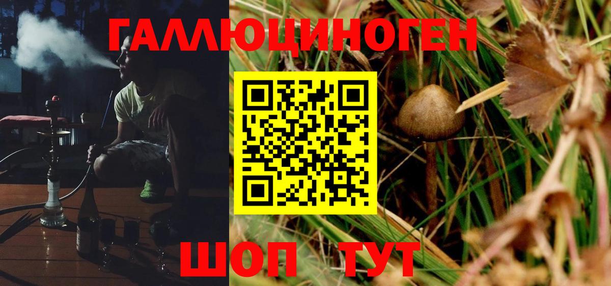 Псилоцибиновые грибы GOLDEN TEACHER  Вход с VPN  Кудрово 