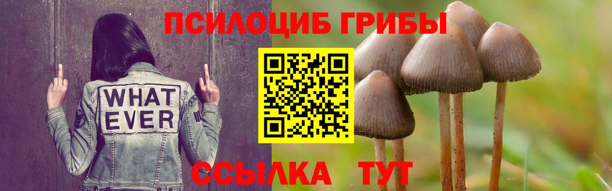 Галлюциногенные грибы ЛСД Кудрово
